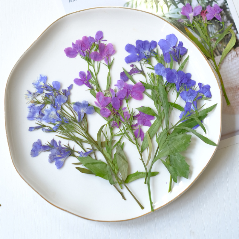 Resin Art Bookmark - 6pcs/8-13cm,nature Lobelia Erinus Dried Pressed Flowers
