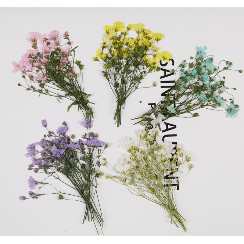 250pcs Pressed Dried Gypsophil - Resin Art Bookmark ulasan dan harga
