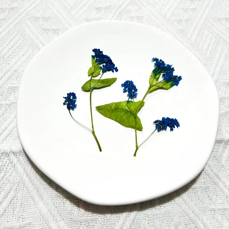 1Set Natural Dried Fagopyrum F - Resin Art Bookmark ulasan dan harga