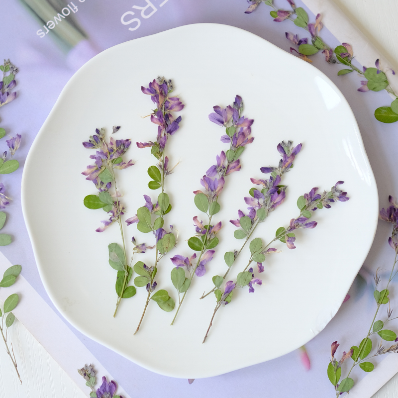 6pcs,nature Lespedeza Formosa  - Resin Art Bookmark ulasan dan harga