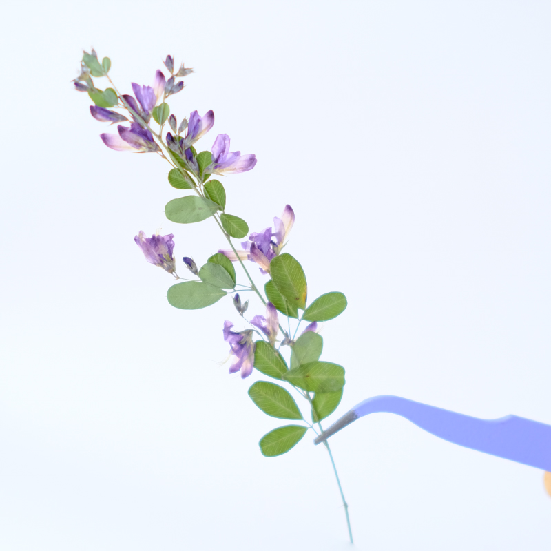 6pcs,nature Lespedeza Formosa  - Resin Art Bookmark ulasan dan harga