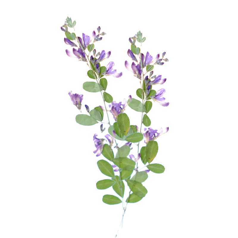 6pcs,nature Lespedeza Formosa  - Resin Art Bookmark ulasan dan harga