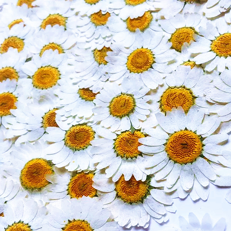 100Pcs Natural White Crystal C - Resin Art Phone Case ulasan dan harga