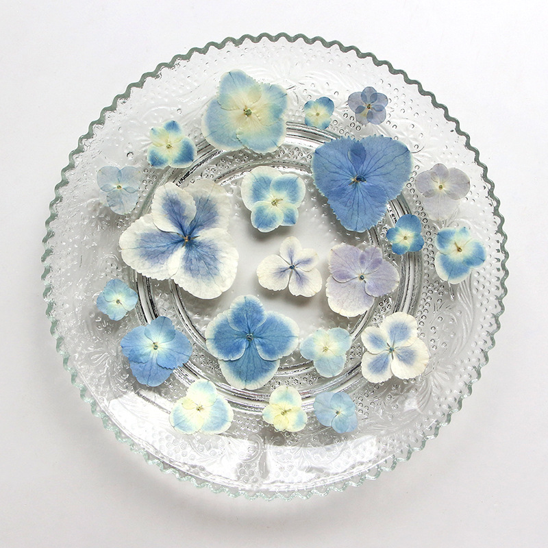 Pressed Dried White Blue Hydra - Resin Art Bookmark ulasan dan harga