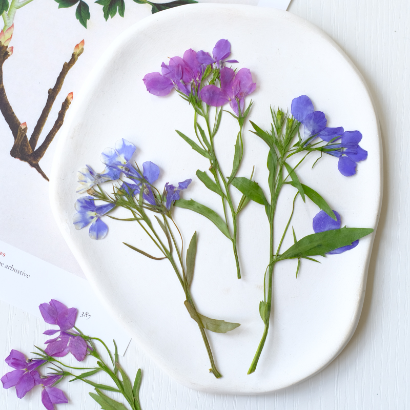 6pcs/8-13cm,nature Lobelia Eri - Resin Art Bookmark ulasan dan harga