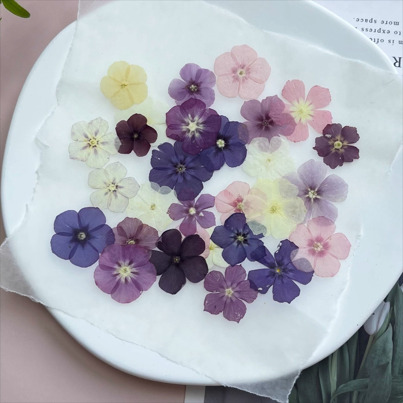 12pcs,Semi-Transparent Niche P - Resin Art Phone Case ulasan dan harga